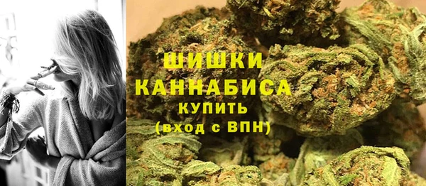 хмурый Дмитров