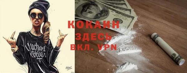 хмурый Дмитров