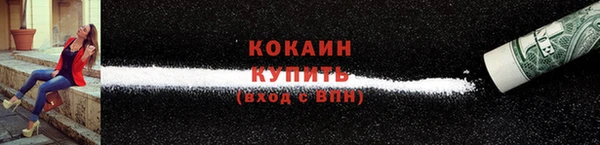 хмурый Дмитров