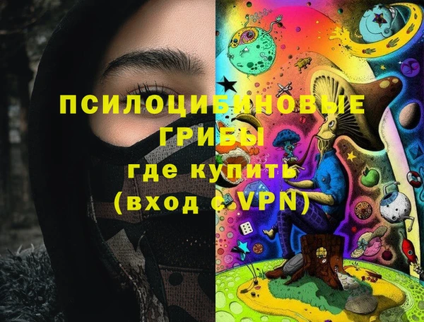 гидропоника Дмитриев