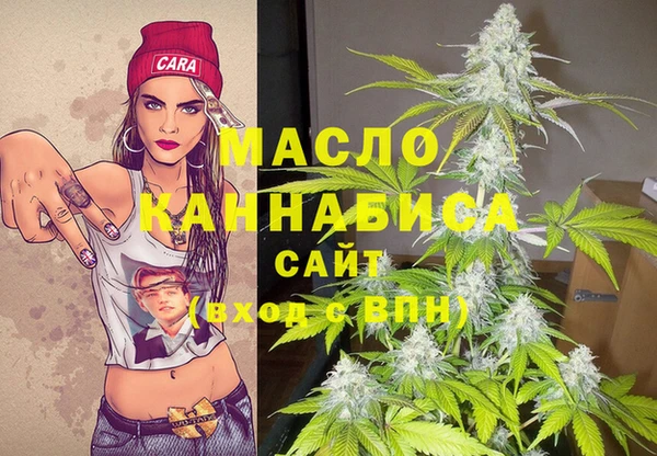 хмурый Дмитров