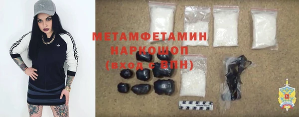 гидропоника Дмитриев