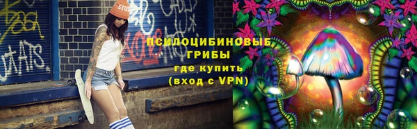 гидропоника Дмитриев
