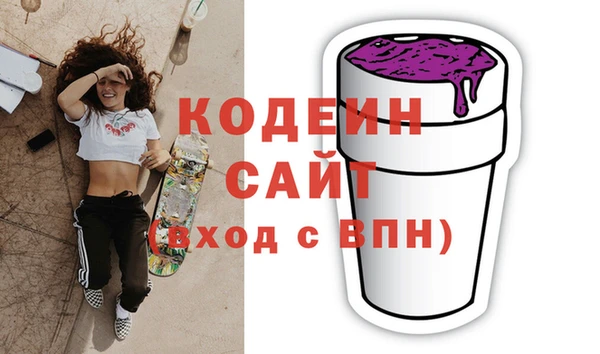 хмурый Дмитров