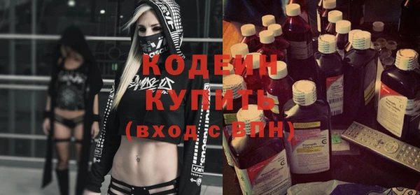 хмурый Дмитров