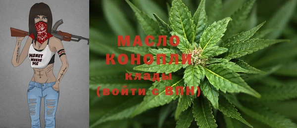 хмурый Дмитров