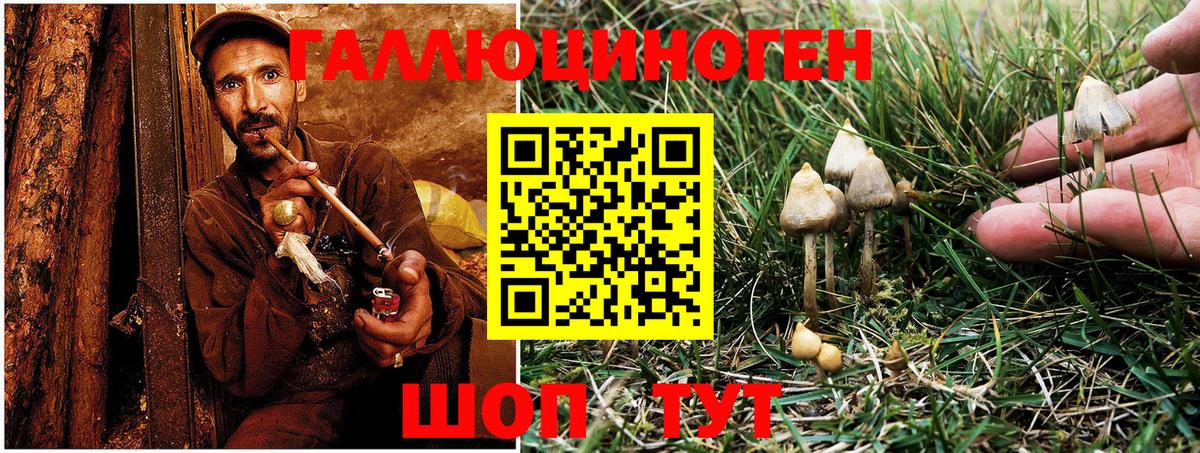 Псилоцибиновые грибы MAGIC MUSHROOMS Заринск